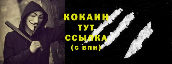 соль ск Алзамай