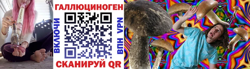 наркота  Томмот  Псилоцибиновые грибы Cubensis 