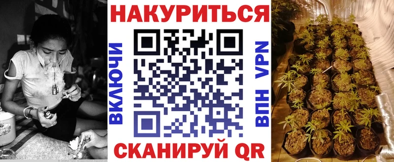 Канабис MAZAR Томмот